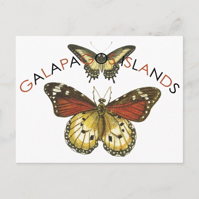 Galapago Islands Emblem-Logotyp Vykort (Framsida)
