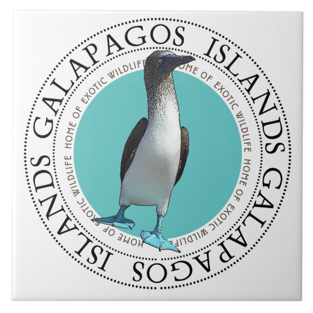 Galapagos Blue Footed Bird Kakelplatta (Framsidan)