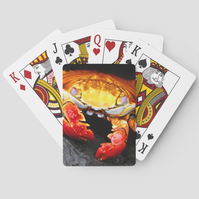 Galapagos Crab Kortlek (Baksidan)