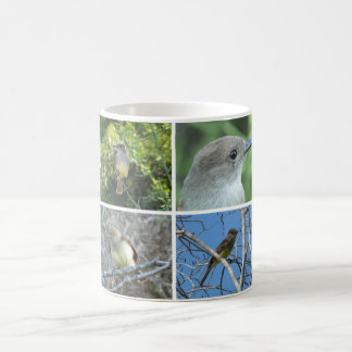 Galápagos Flycatcher Kaffemugg