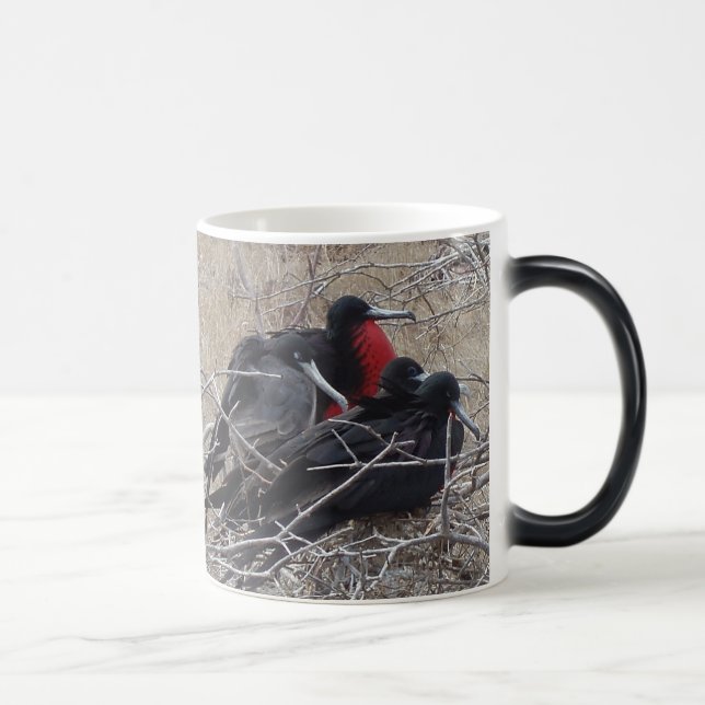 Galapagos Frigatefåglar Magisk Mugg (Höger)