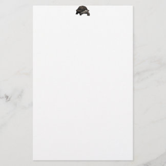 Galápagos/Galapagos jättesköldpadda Brevpapper