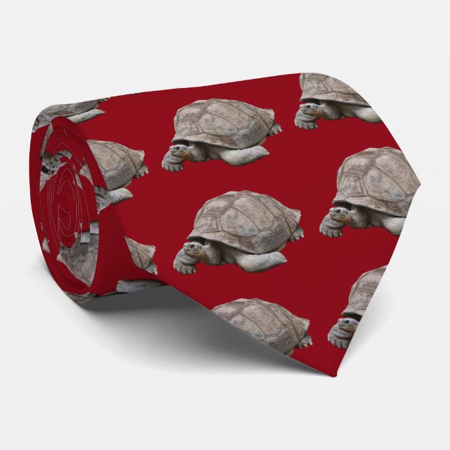 Galápagos giant tortoise slips (Rullad)