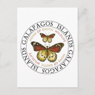 Galapagos Islands Butterflies Vykort