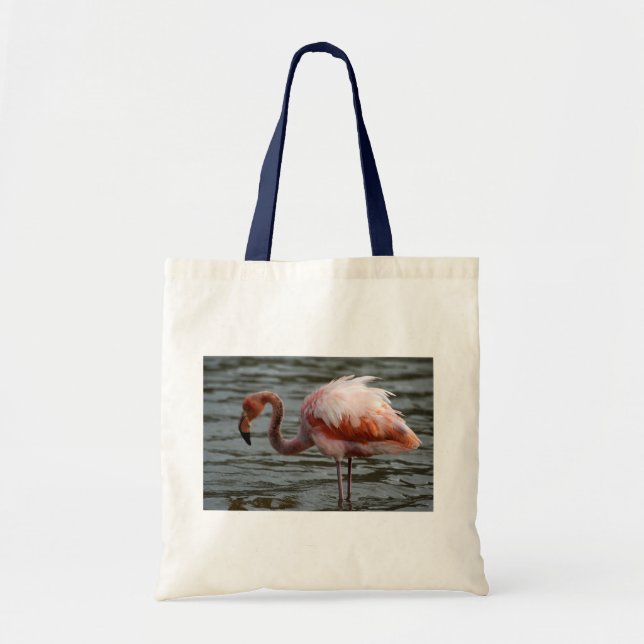 Galapagos Islands Flamingo Tygkasse (Framsidan)