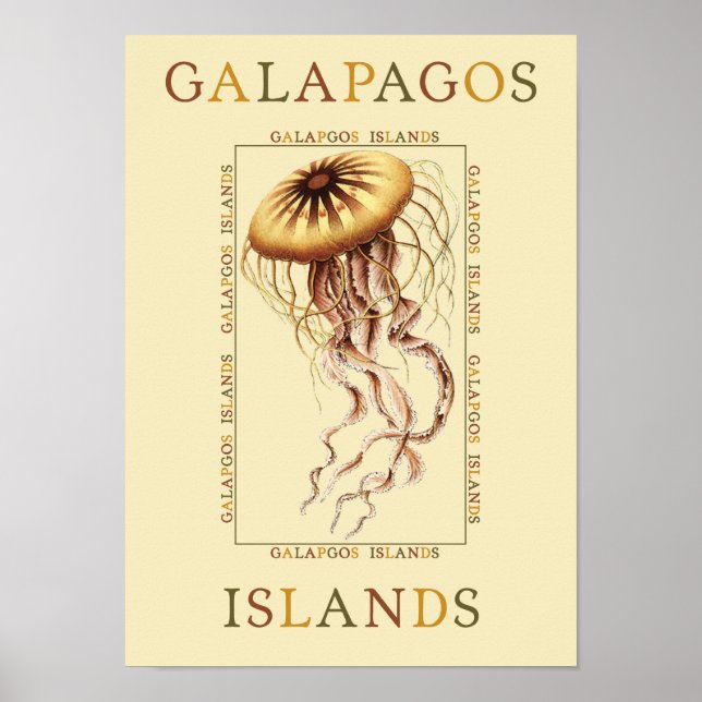 Galapagos Islands Jellyfish Poster (Framsidan)