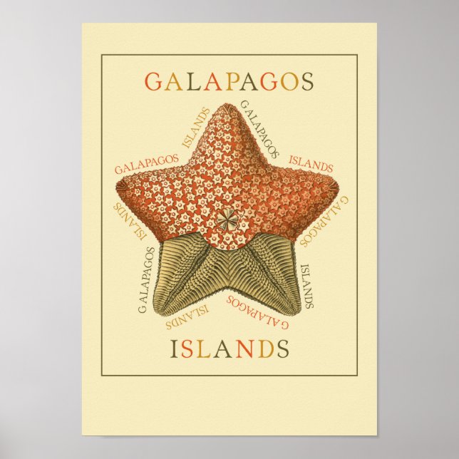 Galapagos Islands Starfish Poster (Framsidan)