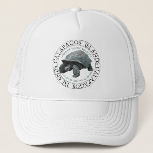 Galapagos Islands Tortoise Keps