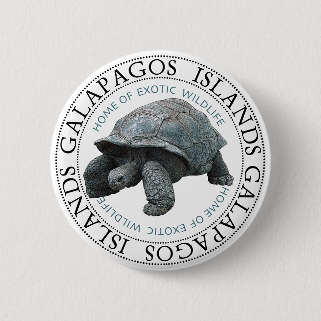 Galapagos Islands Tortoise Knapp (Framsida)