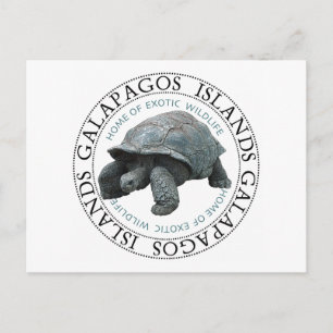 Galapagos Islands Tortoise Vykort