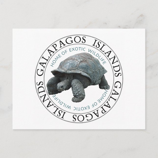 Galapagos Islands Tortoise Vykort (Framsida)