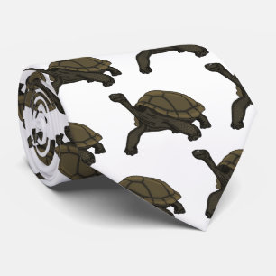 Galapagos land tortoise illustration  slips