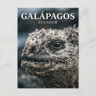 Galápagos nationalpark Ecuador Vykort