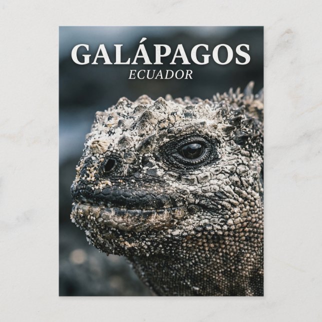Galápagos nationalpark Ecuador Vykort (Framsida)
