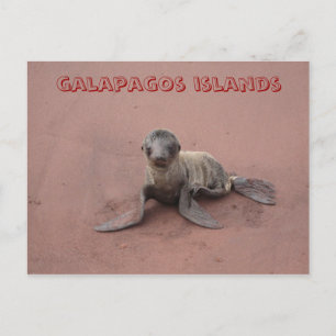 galapagos-öar vykort