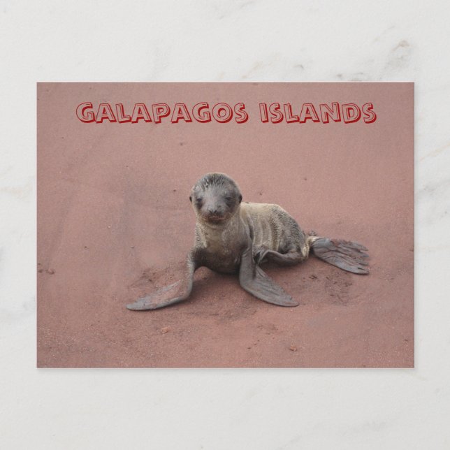 galapagos-öar vykort (Framsida)