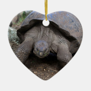Galapagos-öarna Julgransprydnad Keramik