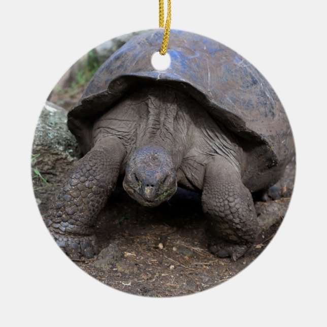 Galapagos-öarna Julgransprydnad Keramik (Framsidan)