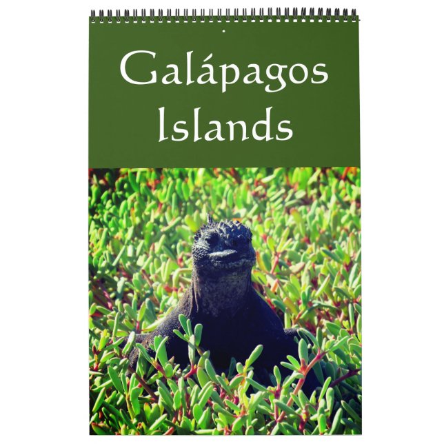galapagos-öarna kalender (Omslag)