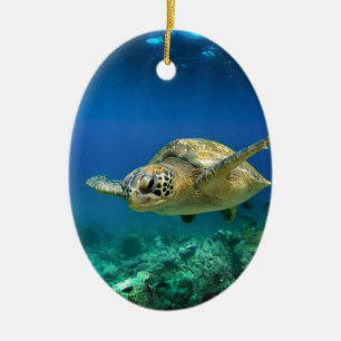 Galapagos paradise grönt sea sköldpadda under vatt julgransprydnad keramik