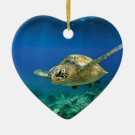 Galapagos paradise grönt sea sköldpadda under vatt julgransprydnad keramik