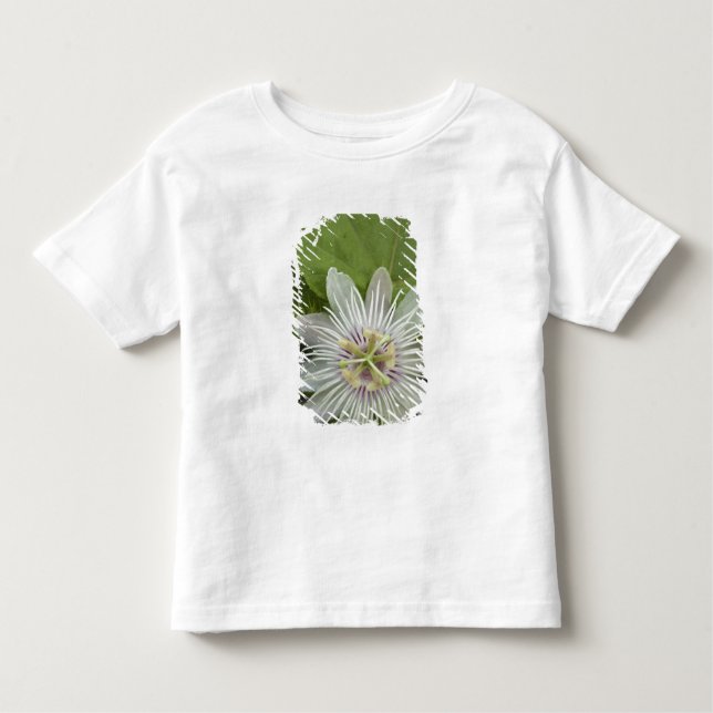 Galapagos Passion Flower Passiflora foetida Tee (Framsida)