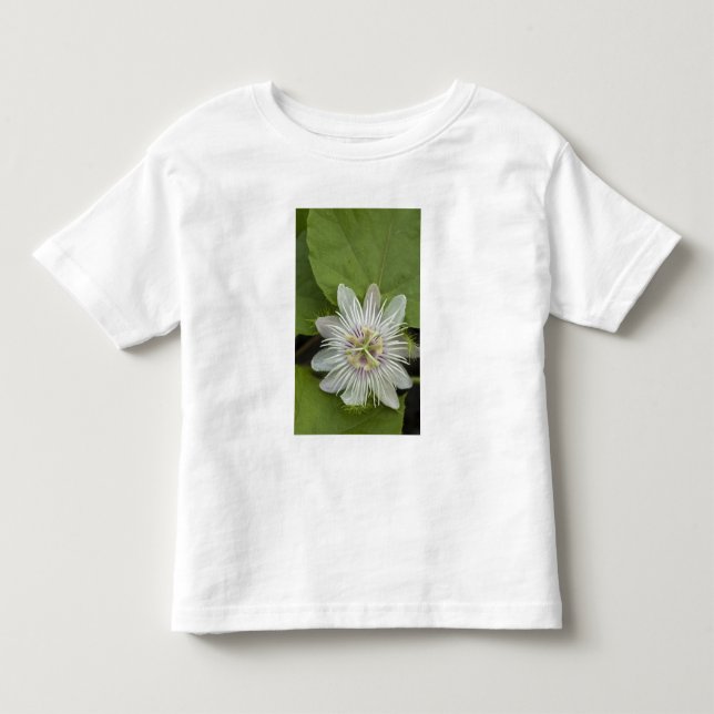Galapagos Passionsblomma Passiflora foetida Tee Shirt (Framsida)