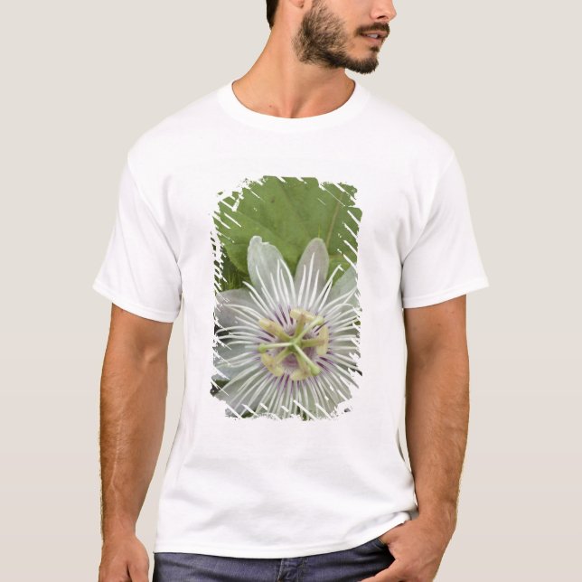 Galapagos Passionsblomma Passiflora foetida Tröja (Framsida)