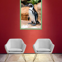 Galapagos penguin poster