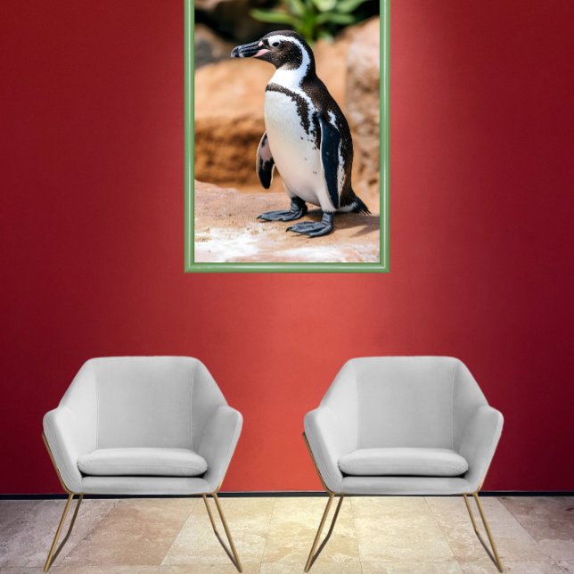 Galapagos penguin poster (Skapare uppladdad)