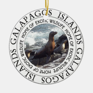 GALAPAGOS SÄLAR ROUND JULGRANSPRYDNAD KERAMIK