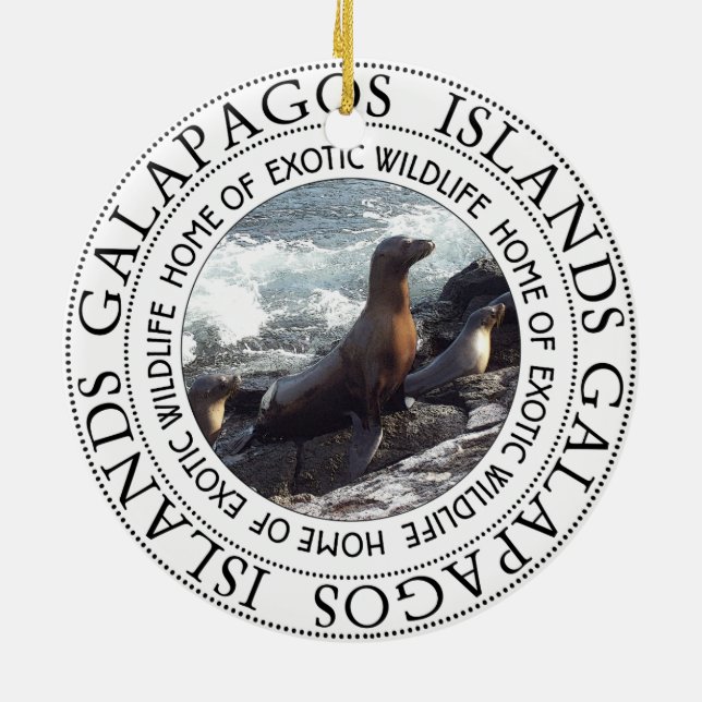 GALAPAGOS SÄLAR ROUND JULGRANSPRYDNAD KERAMIK (Baksidan)