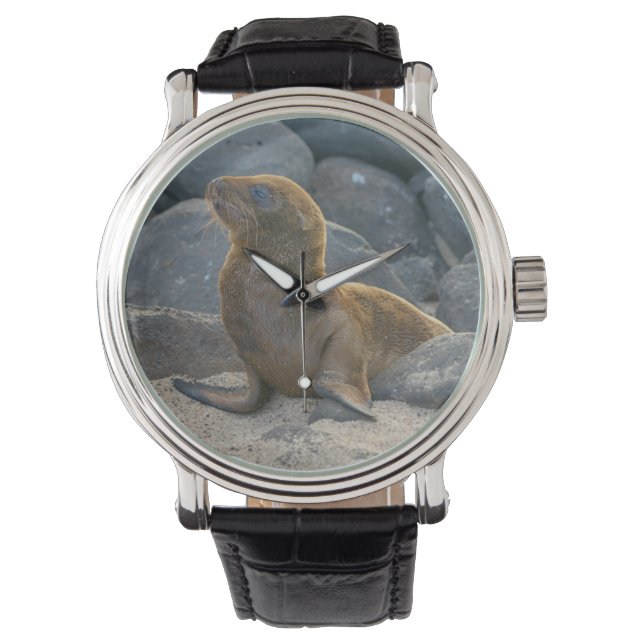 Galapagos Sjölejon Armbandsur (Framsida)
