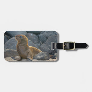 Galapagos Sjölejon Bagagebricka