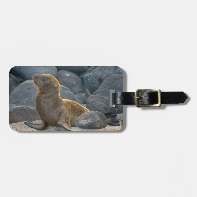 Galapagos Sjölejon Bagagebricka (Horisontell Framsida)