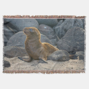 Galapagos Sjölejon Filt
