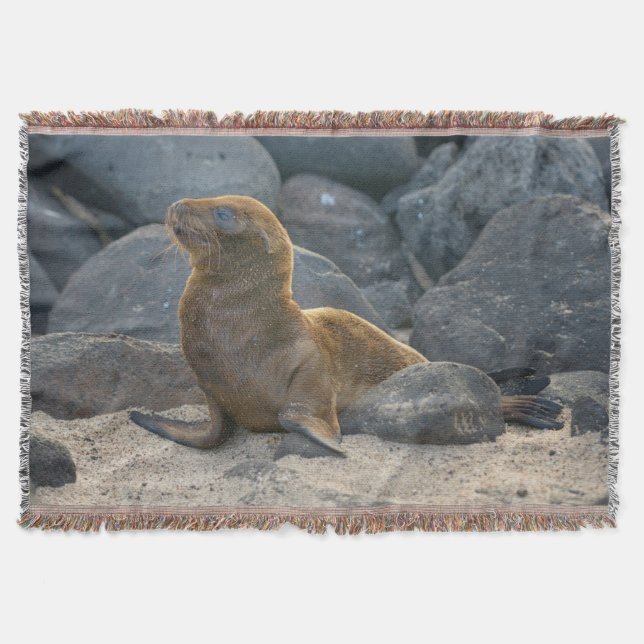 Galapagos Sjölejon Filt (Framsidan)