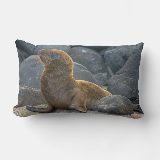 Galapagos Sjölejon Lumbarkudde (Framsida)