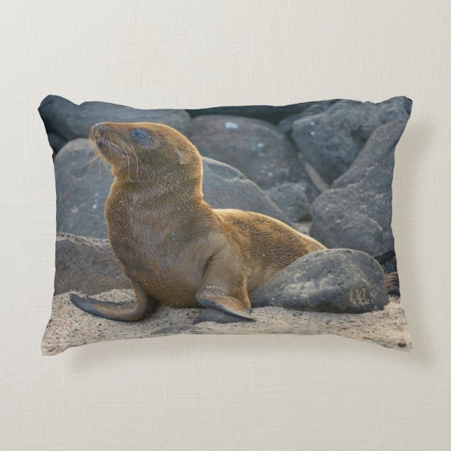 Galapagos Sjölejon Prydnadskudde (Framsidan)