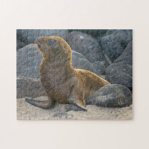 Galapagos Sjölejon Pussel