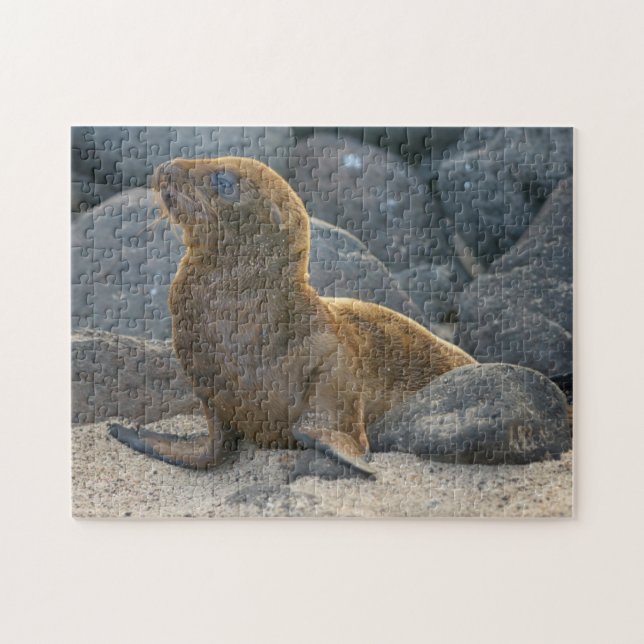 Galapagos Sjölejon Pussel (Horisontell)