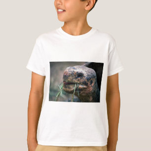 Galapagos sköldpadda, Galapagos öar Tee Shirt