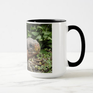 Galapagos sköldpaddamugg mugg