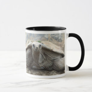 Galapagos sköldpaddamugg mugg