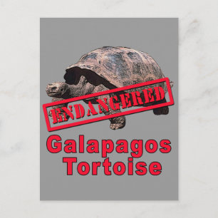 Galapagos Tortoise Endangred Art Tshirts Vykort