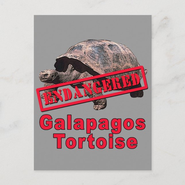 Galapagos Tortoise Endangred Art Tshirts Vykort (Framsida)