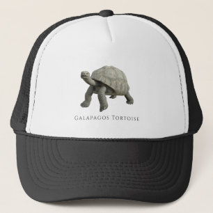 Galapagos Tortoise Keps