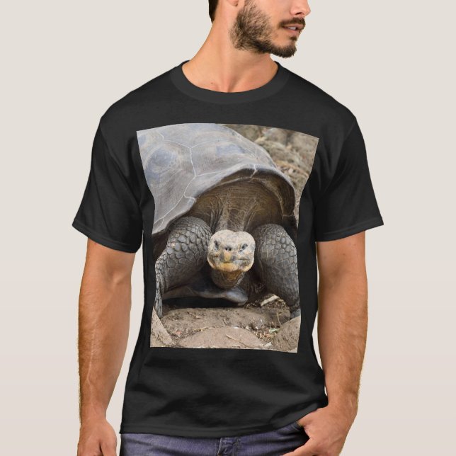 Galapagos Tortoise T Shirt (Framsida)