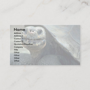 Galapagos Tortoise Visitkort