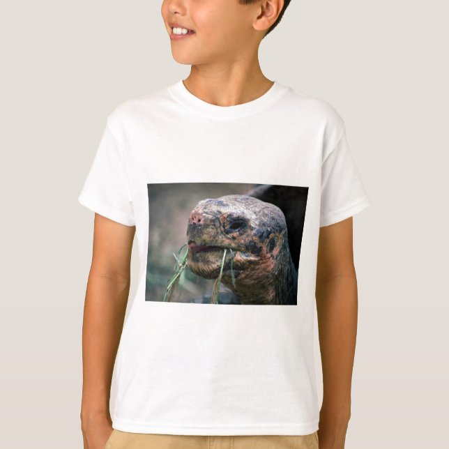 Galapagos Turtle, Galapagos Islands Tee Shirt (Framsida)